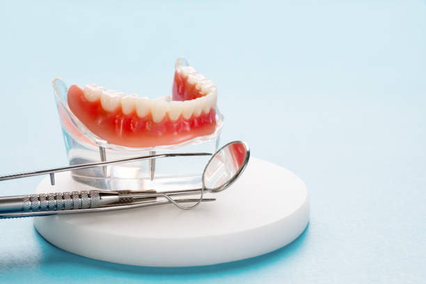 Greenville, OH Holistic Dental Care Services Company
